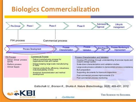 Getting Biopharmaceutical Production Processes Right the First Time