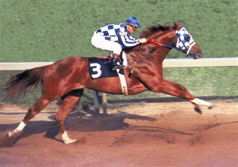 CHASING SECRETARIAT: Going after A Triple Crown of Ultra-Running