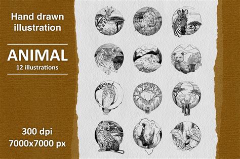 12 hand drawn animal illustrations (1011915) | Illustrations | Design Bundles