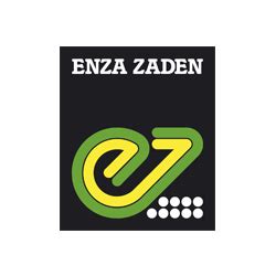 Enza zaden - seeds » Nivola