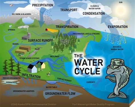 The Water Cycle and YOU! | Article | The United States Army