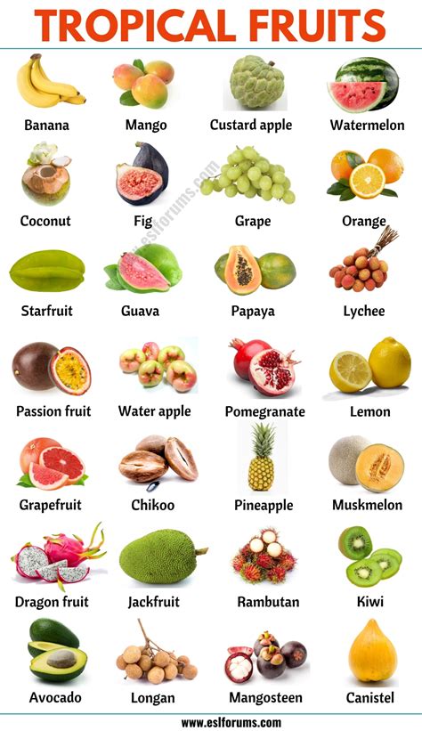 Tropical Fruits: List of 90+ Popular Tropical Fruits in English
