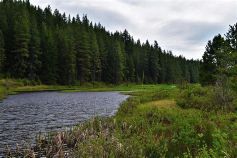 Mill Pond, Glenwood, Washington Photograph by Lkb Art And Photography - Pixels