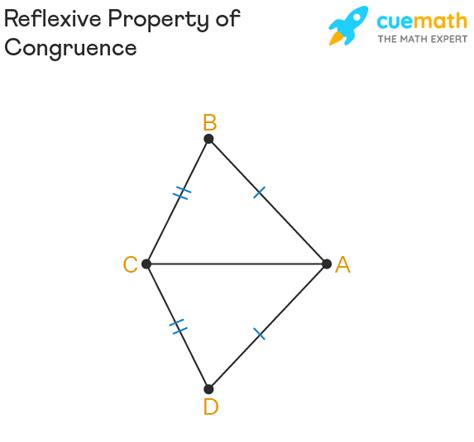 Reflexive Property - Congruence, Equality, Formula, Examples