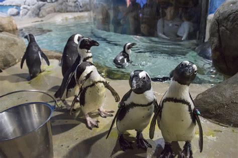 Aquarium | Point Pleasant Beach, NJ