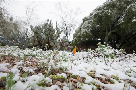 Photos: Winter storm dumps snow in Tucson, hard freeze coming