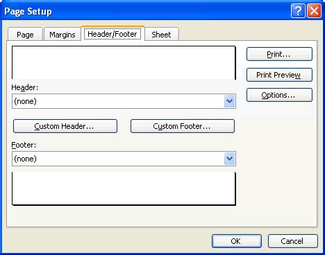 Excel 2003: Defining Page Setup Options