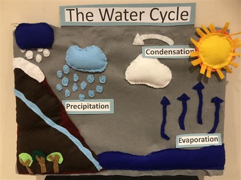 Felt Water Cycle | Water cycle, Cycle drawing, School science projects