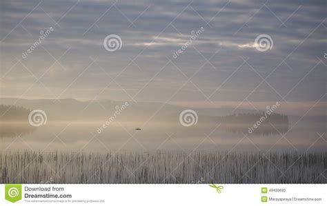 Arctic nightsky. stock image. Image of silent, morning - 49433693