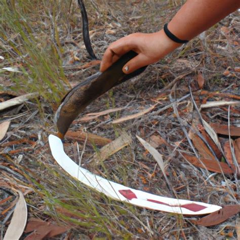 Why Were Boomerangs Invented? A Look at the History, Functionality & Cultural Significance - The ...