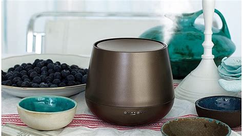 Best Essential Oil Diffusers for 2024 - CNET