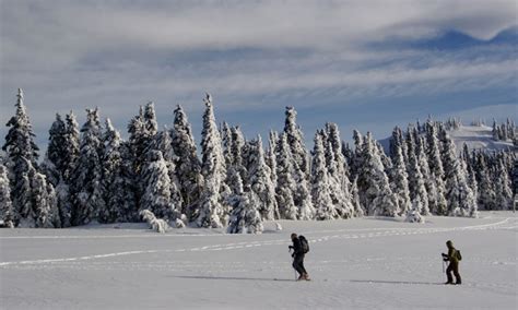 Olympic Peninsula Snowshoeing: Snowshoe Rentals & Tours - AllTrips