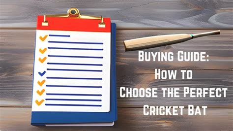 Best Cricket Bats in India (2023) : The Ultimate Guide - Rankerspace