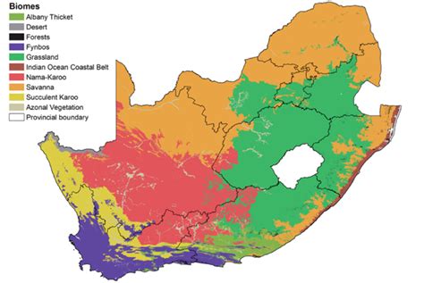 Terrestrial biomes of South Africa. | Download Scientific Diagram