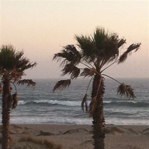 Ventura Beach | Ventura beach, California beach, Beach