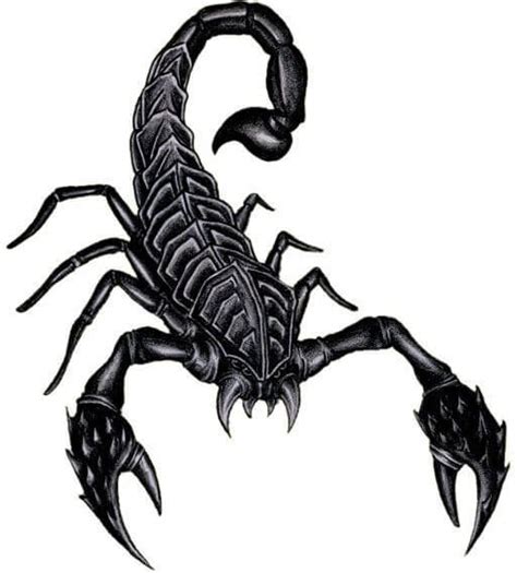 Scorpion Tattoo Designs - The Body is a Canvas | Scorpion tattoo, Scorpio tattoo, Tattoo designs