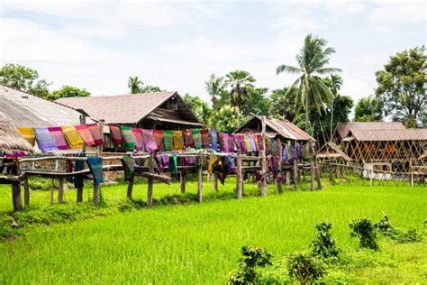 Thai Native House with Rice Field Stock Image - Image of asia, meadow ...