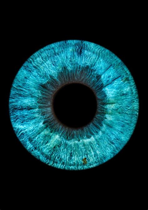 Macro Photography Eyes, Photography Wall Art, Blue Eyes Aesthetic, Iris ...