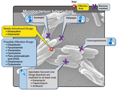 Tuberculosis Drugs and Mechanisms of Action | NIH: National Institute ...