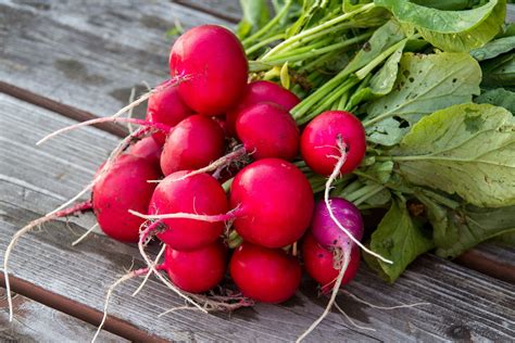 What Makes Radishes Spicy and 8 Radish Recipes to Try | Radish recipes ...