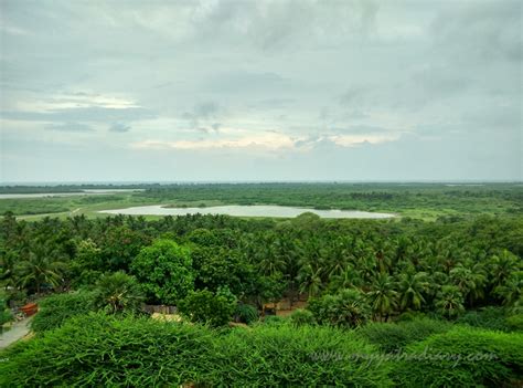 Places to see / Teerthas of Rameshwaram: Gandhamadana Parvatham (Rama Padam). | My Yatra Diary...