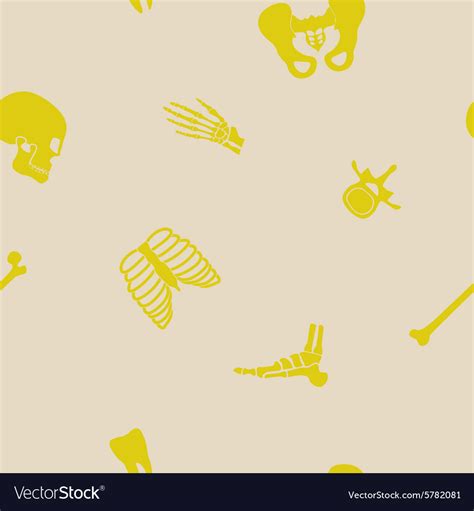 Seamless background with human bones Royalty Free Vector