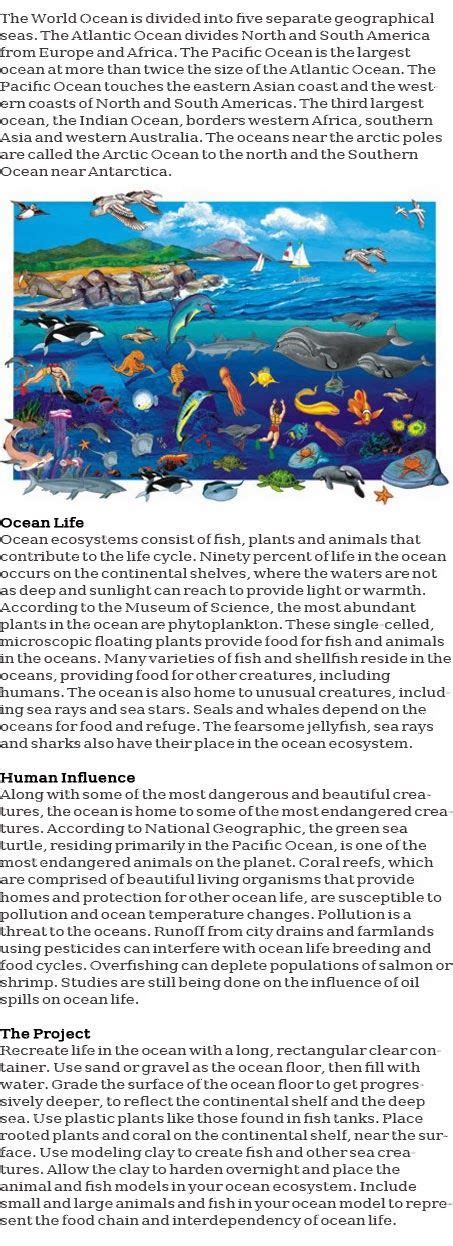 Ocean ecosystem for kids http://firstchildhoodeducation.blogspot.com ...