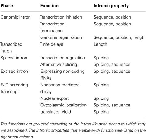 Frontiers | The Function of Introns