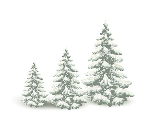 Pine Snow Tree Clip Art Winter Snowy Pine Tree Png Clipart Image Png ...