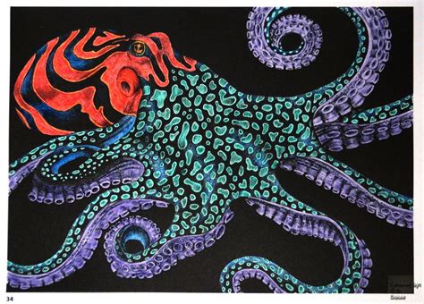 Tim Jeffs - Intricate Ink Animals in Details volume 1 Octopus 1 Coloured with Colorino Aritst ...