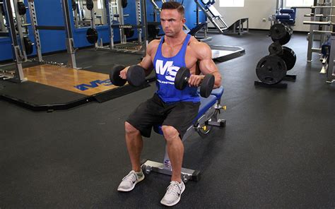 Seated Dumbbell Reverse Curl: Video Exercise Guide & Tips