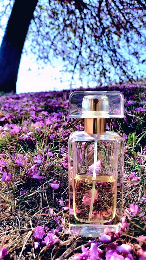 Beyond Paradise Estée Lauder perfume - a fragrance for women 2015