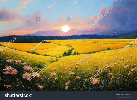 Sunset Sunrise Painting Field Blooming Wild Stock Illustration ...