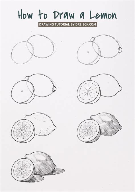 How to Draw a Lemon (easy step by step) 🍋