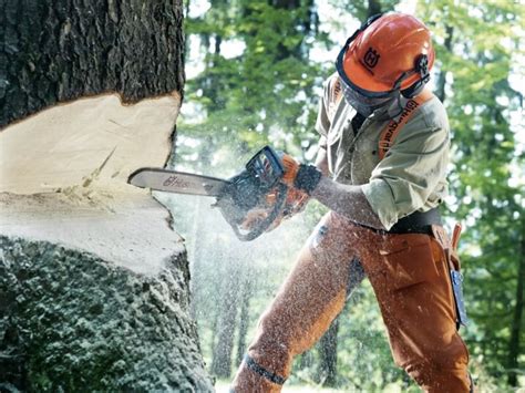 How To Make Tree Felling Notches & Hinges with a Chainsaw - At Call Equipment