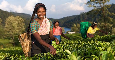 EMPOWERING RURAL WOMEN IN SRI LANKA | SMU Newsroom