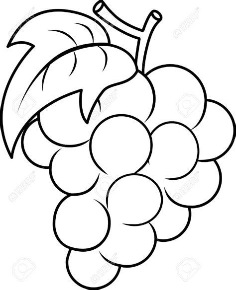 Bunch Of Grapes Drawing at GetDrawings | Free download