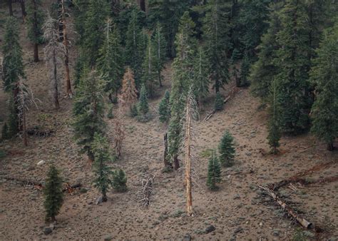 Yosemite September Lightning Fire near Ahwahnee, California - Current Incident Information and ...