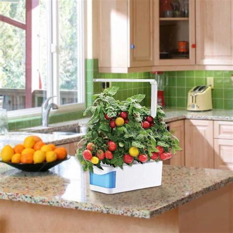 Smart Pot Indoor Herb Smart Garden | Hydroponic Growing Kit