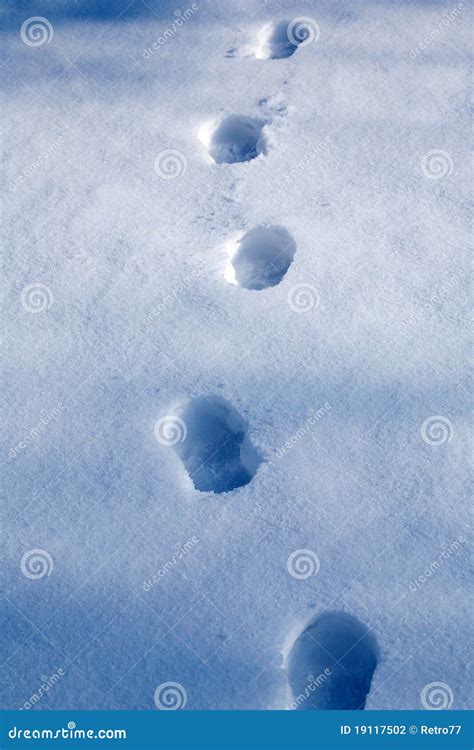 Footprints in the snow stock photo. Image of blue, dint - 19117502