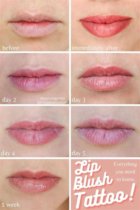 Lip Blush Tattoo Before and After | Pursuing Pretty