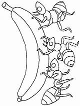Free Picnic And Ants Coloring Pages Download  sketch template