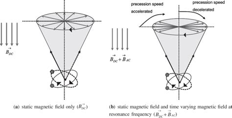 Larmor precession of an ion orbital. The Larmor precession is the... | Download Scientific Diagram