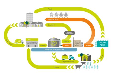 How Anaerobic Digestion Works | Olleco