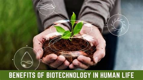 Top 7 Benefits of Biotechnology in Human life 2023