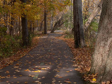 Late Fall Foliage at Rocky River Reservation