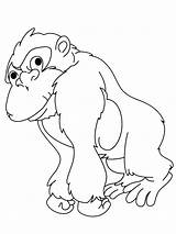 Free Chimpanzee Coloring Pages  Ferrisquinlanjamal sketch template