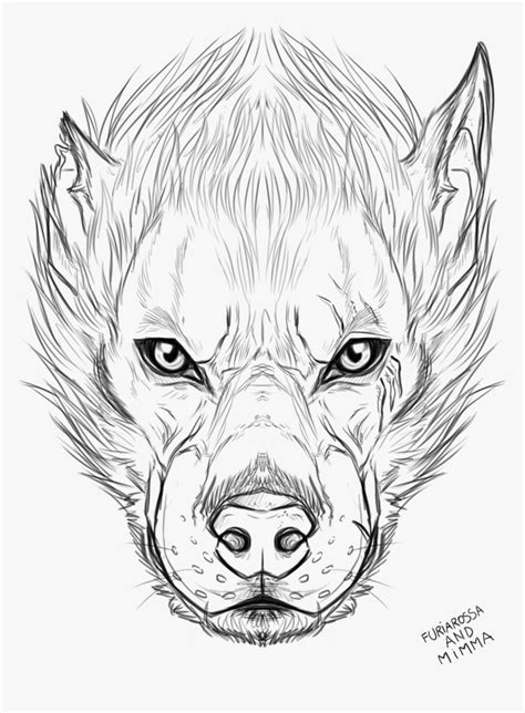 Werewolf Head Drawing Best - Wolf Logo Drawing Face, HD Png Download - kindpng