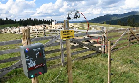 predator-proof electric fencing in Romania | Photos | WWF