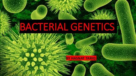 Bacterial genetics